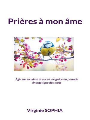 cover image of Prières à mon âme